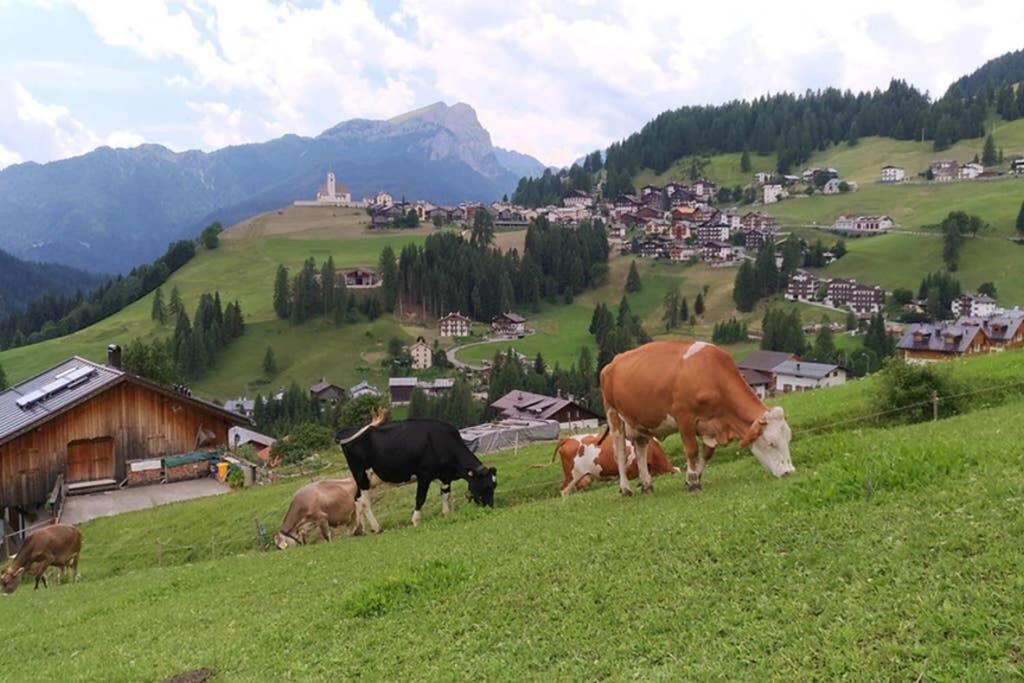 App. Monte Pore - Agriturismo La Majon Colle Santa Lucia Zewnętrze zdjęcie